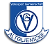 RLNO: FSV Zwickau - VSG Altglienicke